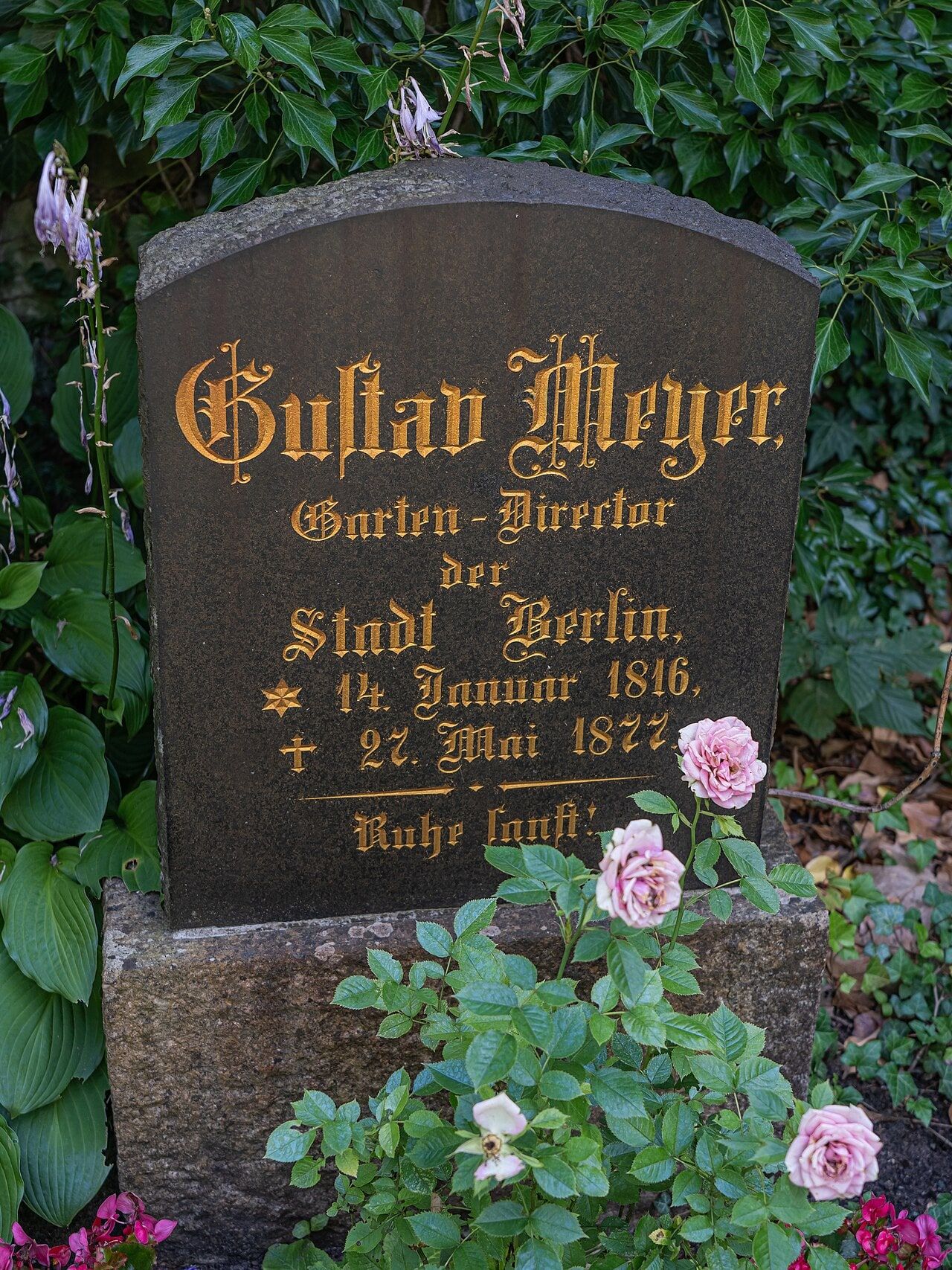 Grabstätte von Gustav Meyer